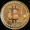 Champs Bitcoin Junior Judge DyeMax